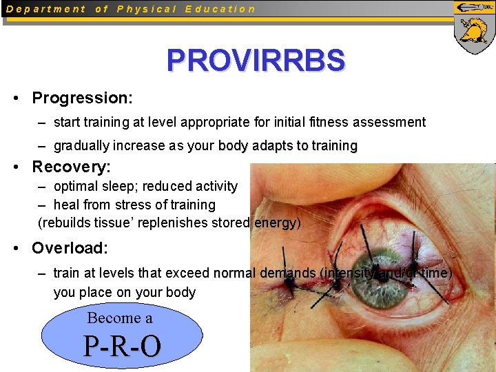 Department of Physical Education PROVIRRBS • Progression: – start training at level appropriate for