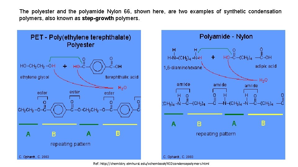 The polyester and the polyamide Nylon 66, shown here, are two examples of synthetic