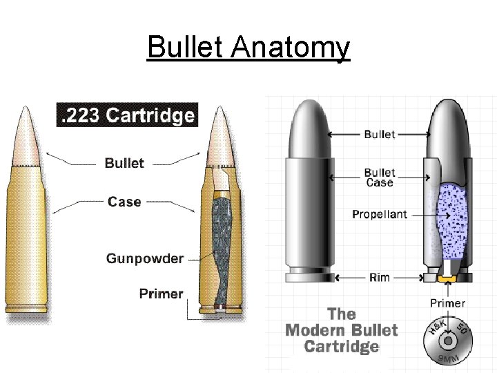 Bullet Anatomy 