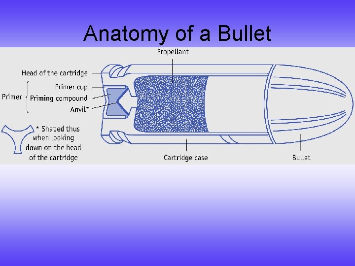 Anatomy of a Bullet 