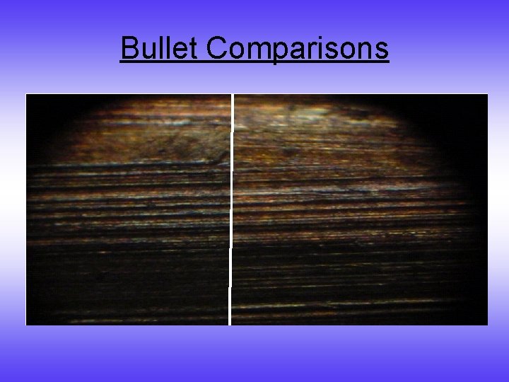 Bullet Comparisons 