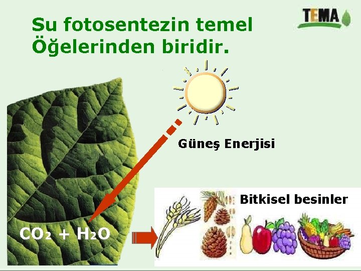 Su fotosentezin temel Öğelerinden biridir. Güneş Enerjisi Bitkisel besinler CO 2 + H 2