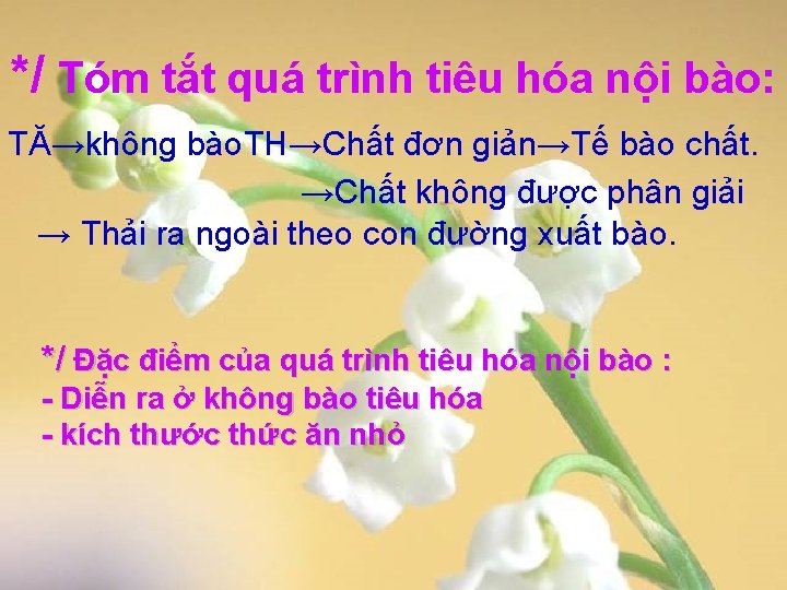 */ Tóm tắt quá trình tiêu hóa nội bào: TĂ→không bào. TH→Chất đơn giản→Tế