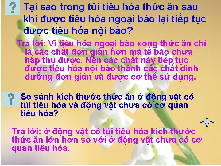 Tại sao trong túi tiêu hóa thức ăn sau khi được tiêu hóa ngoại