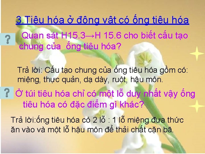 3. Tiêu hóa ở động vật có ống tiêu hóa Quan sát H 15.