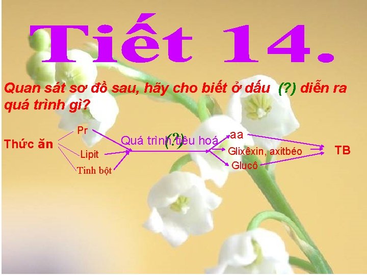 Quan sát sơ đồ sau, hãy cho biết ở dấu (? ) diễn ra