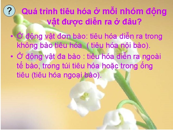 ? Quá trình tiêu hóa ở mỗi nhóm động vật được diễn ra ở