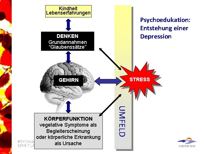 Kindheit Lebenserfahrungen Psychoedukation: Entstehung einer Depression DENKEN Grundannahmen “Glaubenssätze” STRESS GEHIRN UMFELD KÖRPERFUNKTION vegetative