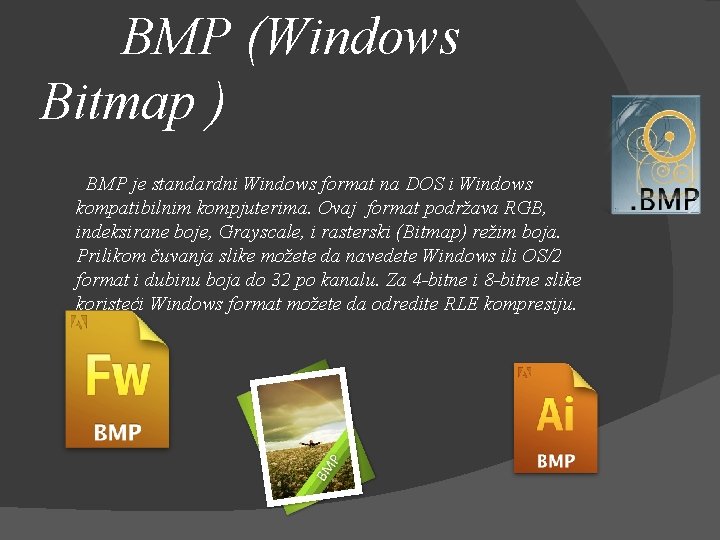  BMP (Windows Bitmap ) BMP je standardni Windows format na DOS i Windows