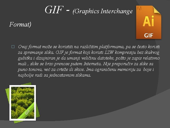  GIF - (Graphics Interchange Format) � Ovaj format može se koristiti na različitim