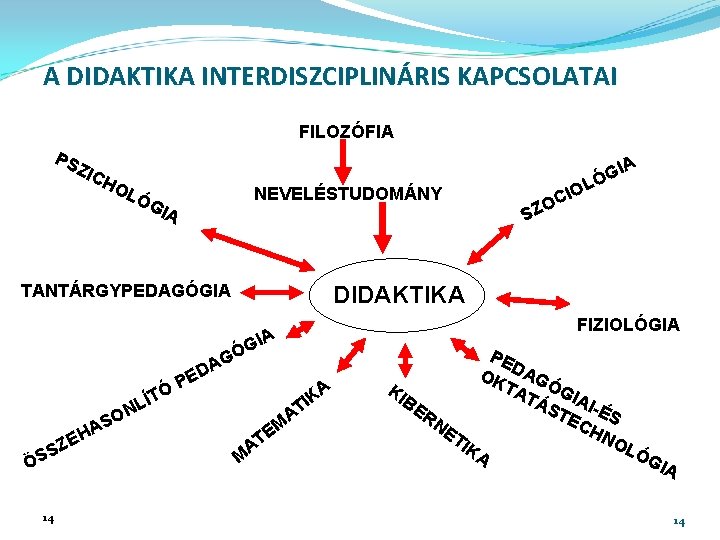 A DIDAKTIKA INTERDISZCIPLINÁRIS KAPCSOLATAI FILOZÓFIA PS ZIC HO IA LÓ NEVELÉSTUDOMÁNY GIA TANTÁRGYPEDAGÓGIA FIZIOLÓGIA