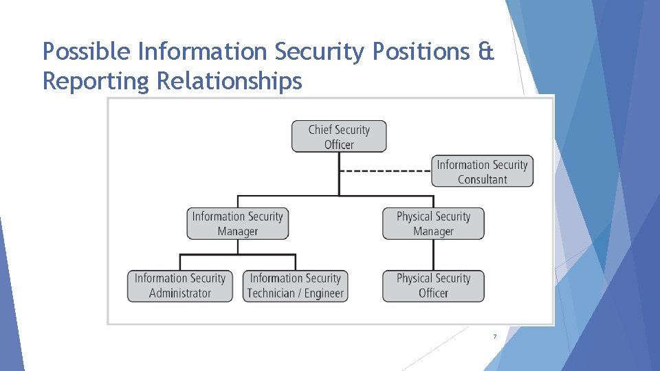 Possible Information Security Positions & Reporting Relationships 7 