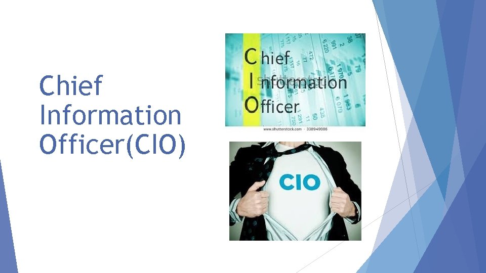 Chief Information Officer(CIO) 
