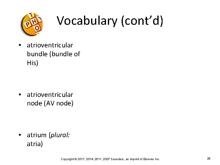 Vocabulary (cont’d) • atrioventricular bundle (bundle of His) • atrioventricular node (AV node) •