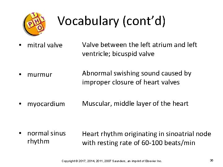 Vocabulary (cont’d) • mitral valve Valve between the left atrium and left ventricle; bicuspid
