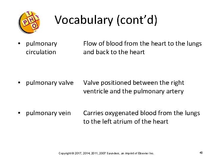 Vocabulary (cont’d) • pulmonary circulation Flow of blood from the heart to the lungs