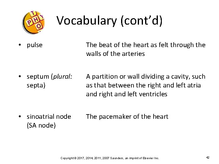 Vocabulary (cont’d) • pulse The beat of the heart as felt through the walls