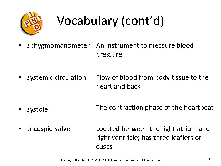 Vocabulary (cont’d) • sphygmomanometer An instrument to measure blood pressure • systemic circulation Flow