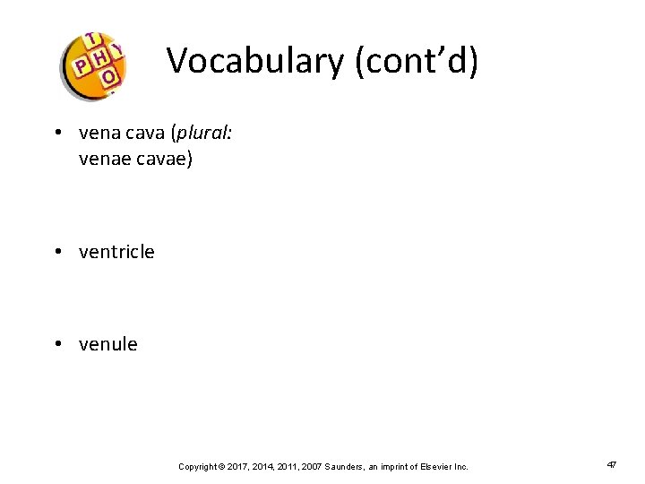 Vocabulary (cont’d) • vena cava (plural: venae cavae) • ventricle • venule Copyright ©
