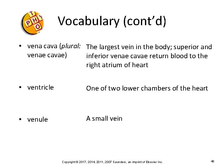 Vocabulary (cont’d) • vena cava (plural: The largest vein in the body; superior and