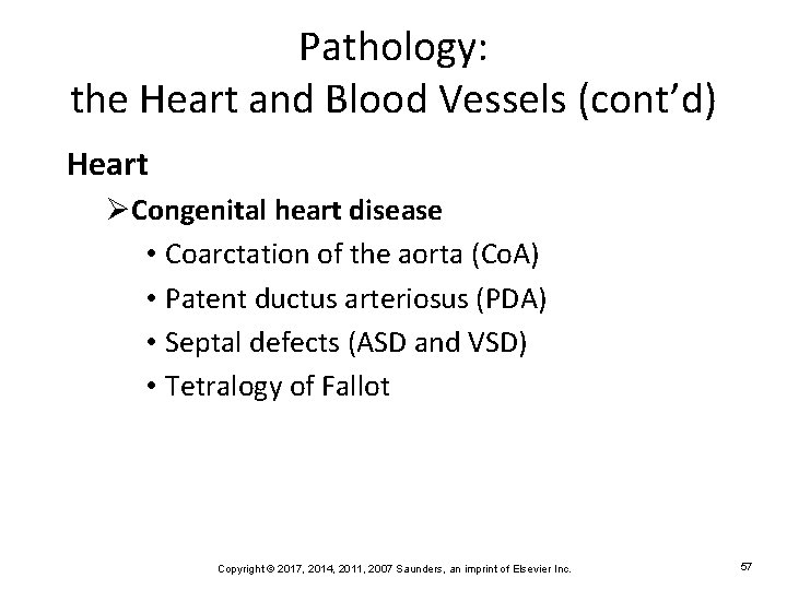 Pathology: the Heart and Blood Vessels (cont’d) Heart ØCongenital heart disease • Coarctation of