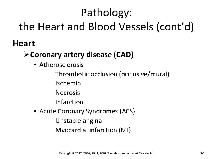 Pathology: the Heart and Blood Vessels (cont’d) Heart ØCoronary artery disease (CAD) • Atherosclerosis