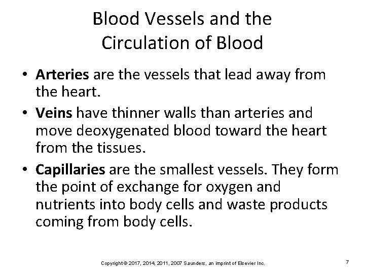 Blood Vessels and the Circulation of Blood • Arteries are the vessels that lead