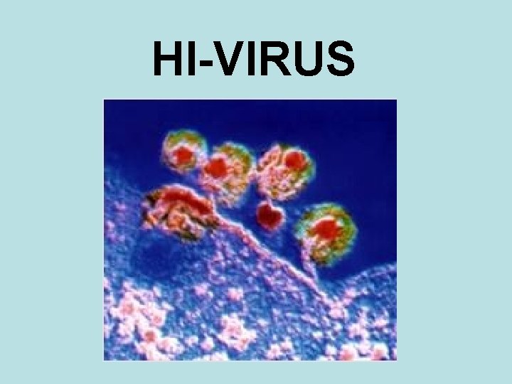 HI-VIRUS 