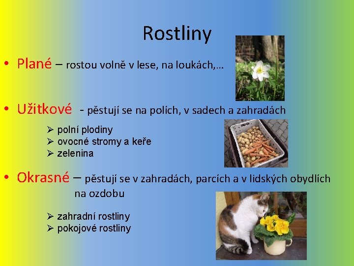 Rostliny • Plané – rostou volně v lese, na loukách, … • Užitkové -