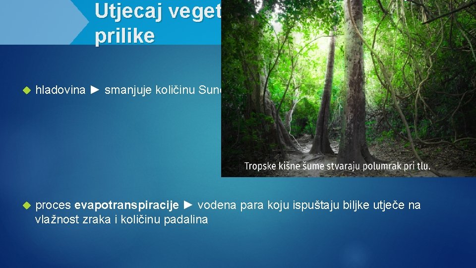 Utjecaj vegetacije na klimatske prilike hladovina ► smanjuje količinu Sunčeve radijacije koja dolazi do