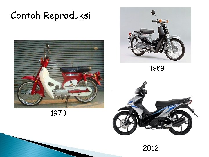 Contoh Reproduksi 1969 1973 2012 