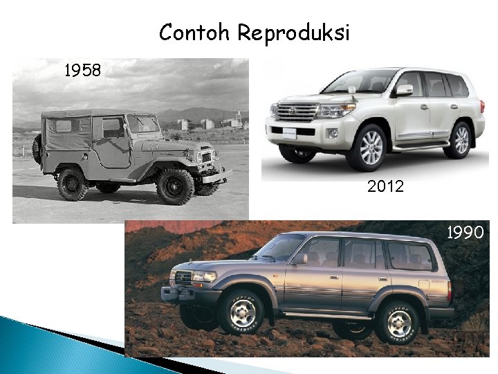 Contoh Reproduksi 1958 2012 1990 