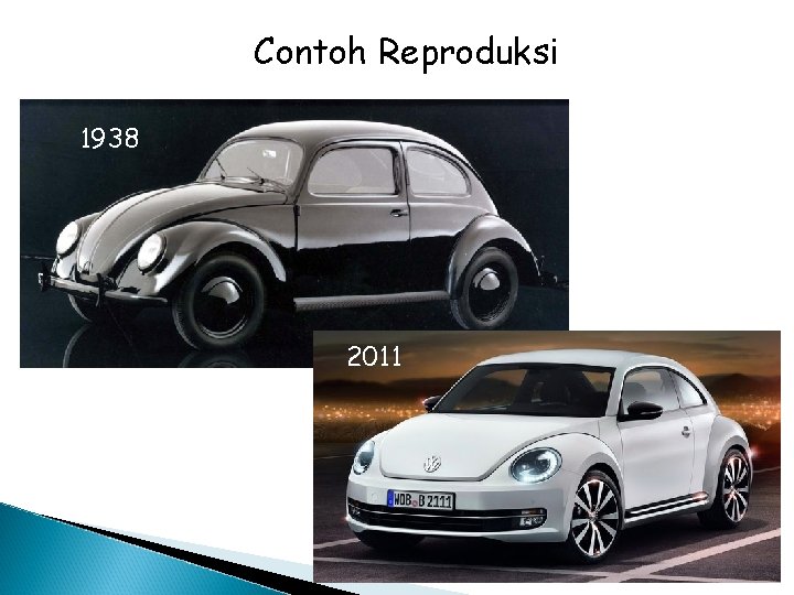 Contoh Reproduksi 1938 2011 