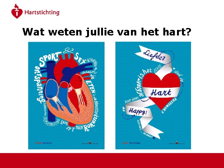 Wat weten jullie van het hart? 