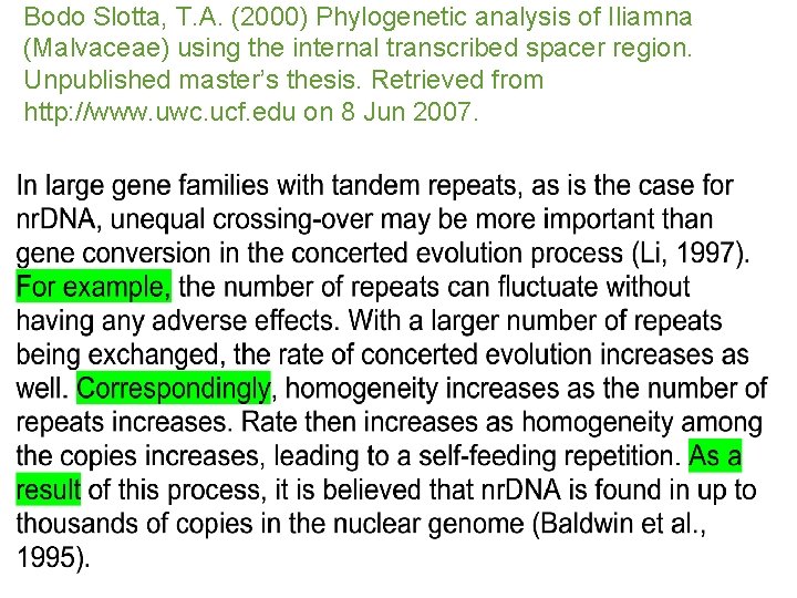 Bodo Slotta, T. A. (2000) Phylogenetic analysis of Iliamna (Malvaceae) using the internal transcribed