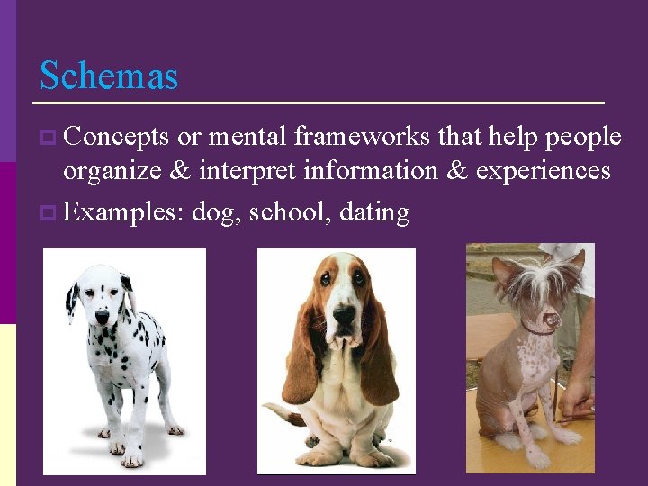 Schemas p Concepts or mental frameworks that help people organize & interpret information &