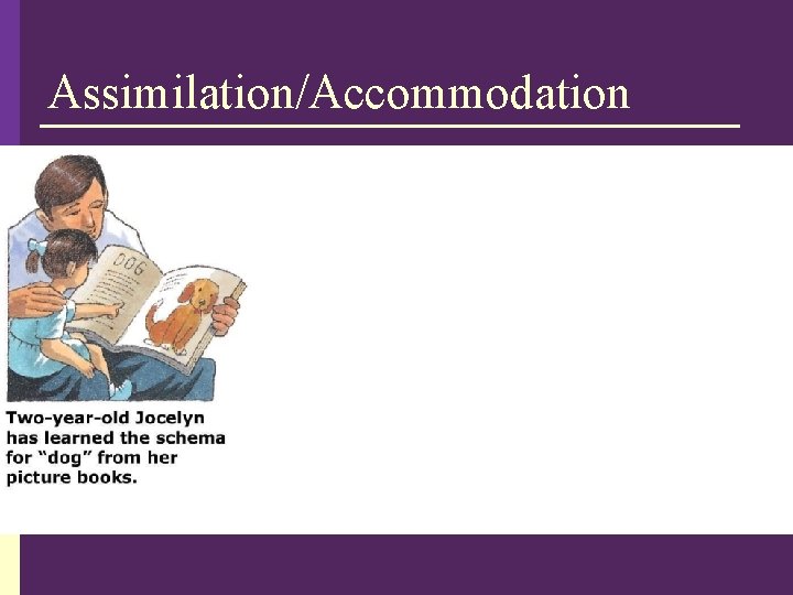Assimilation/Accommodation 