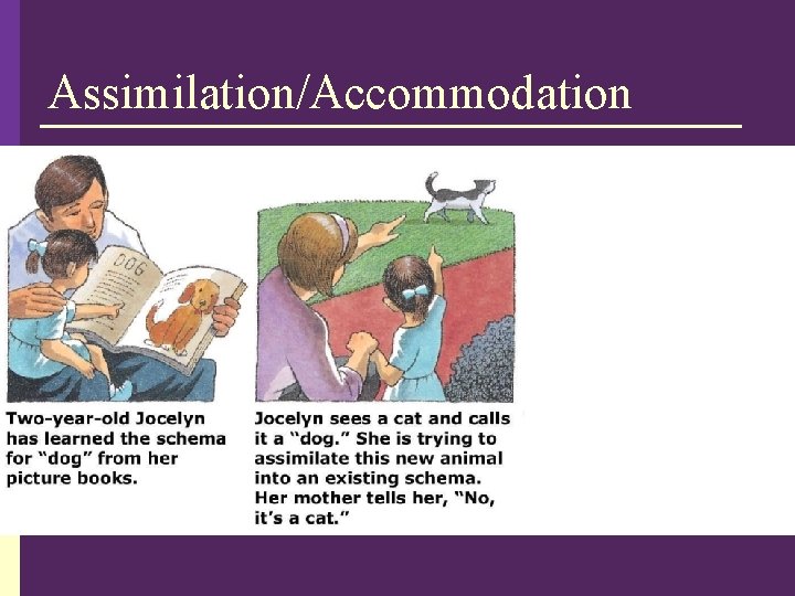 Assimilation/Accommodation 