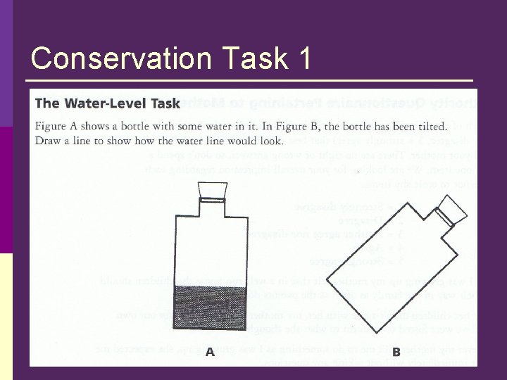 Conservation Task 1 