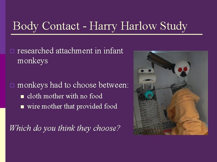 Body Contact - Harry Harlow Study p researched attachment in infant monkeys p monkeys