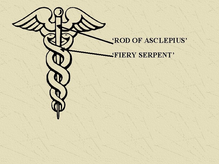 ‘ROD OF ASCLEPIUS’ ‘FIERY SERPENT’ 