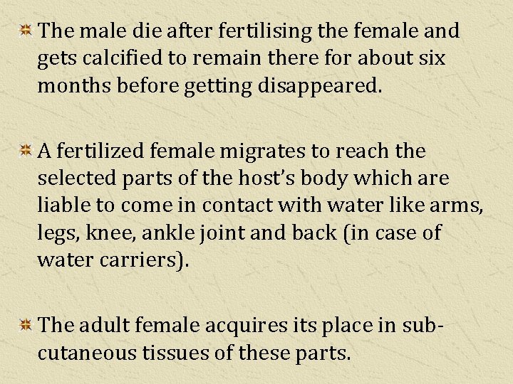 The male die after fertilising the female and gets calcified to remain there for