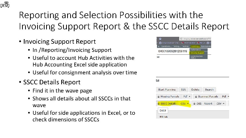 Reporting and Selection Possibilities with the Invoicing Support Report & the SSCC Details Report