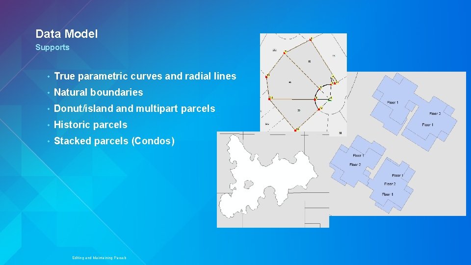 Data Model Supports • True parametric curves and radial lines • Natural boundaries •