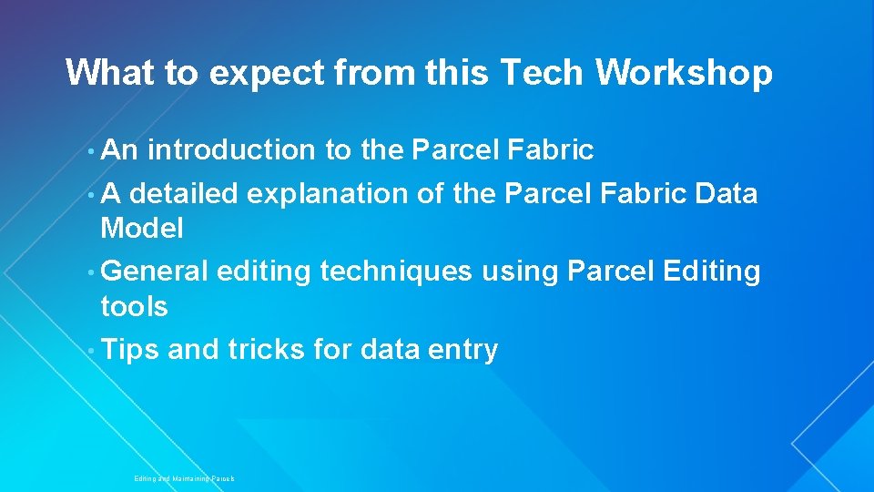 What to expect from this Tech Workshop • An introduction to the Parcel Fabric