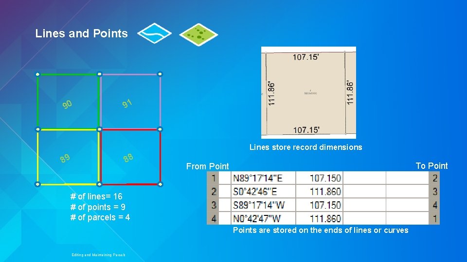Lines and Points 90 91 Lines store record dimensions 89 88 To Point From