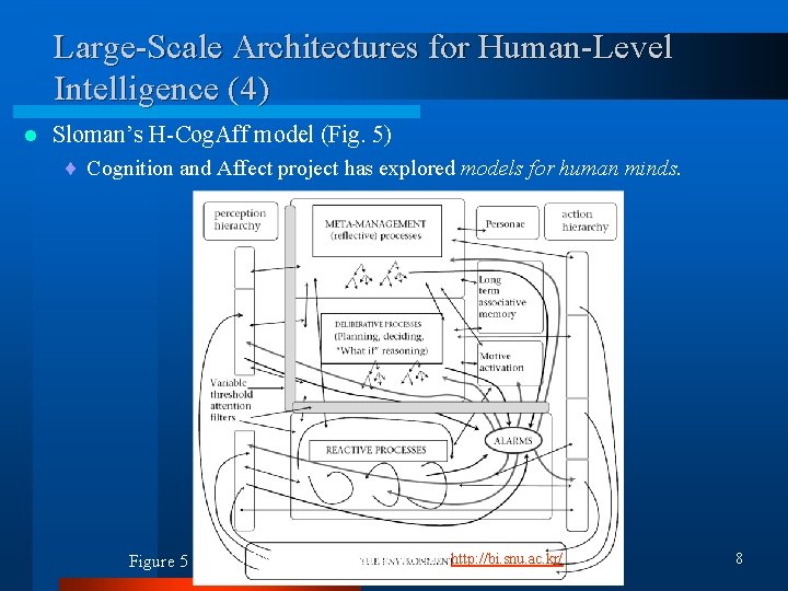 Large-Scale Architectures for Human-Level Intelligence (4) l Sloman’s H-Cog. Aff model (Fig. 5) ¨