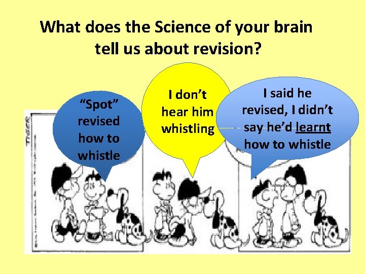 What does the Science of your brain tell us about revision? “Spot” revised how