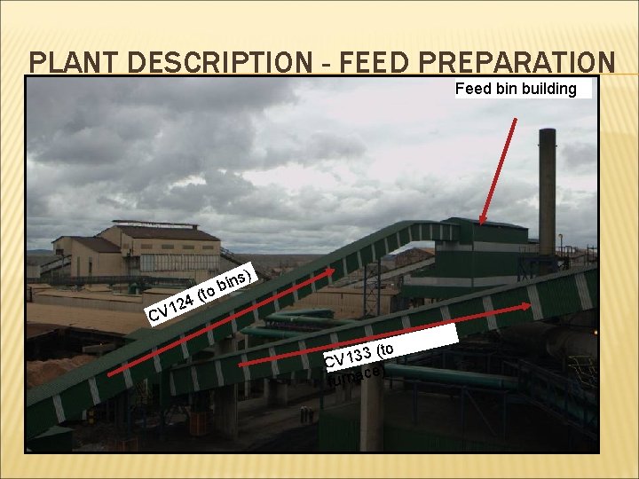 PLANT DESCRIPTION - FEED PREPARATION Feed bin building s) in b o 4 (t