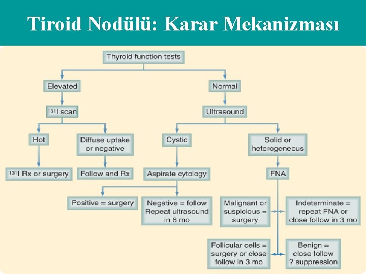 Tiroid Nodülü: Karar Mekanizması 